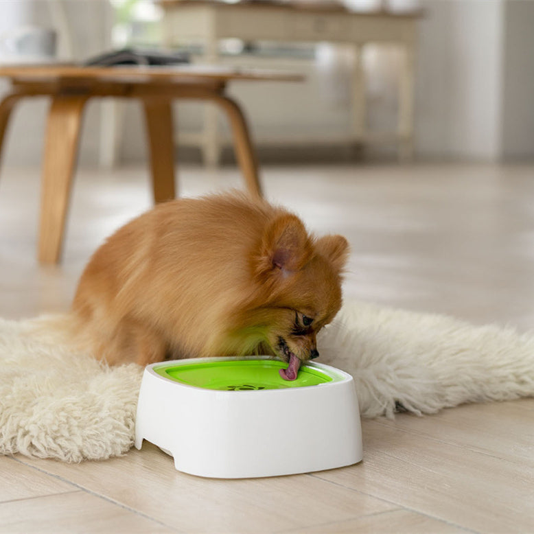 Non-Splash Water Bowl