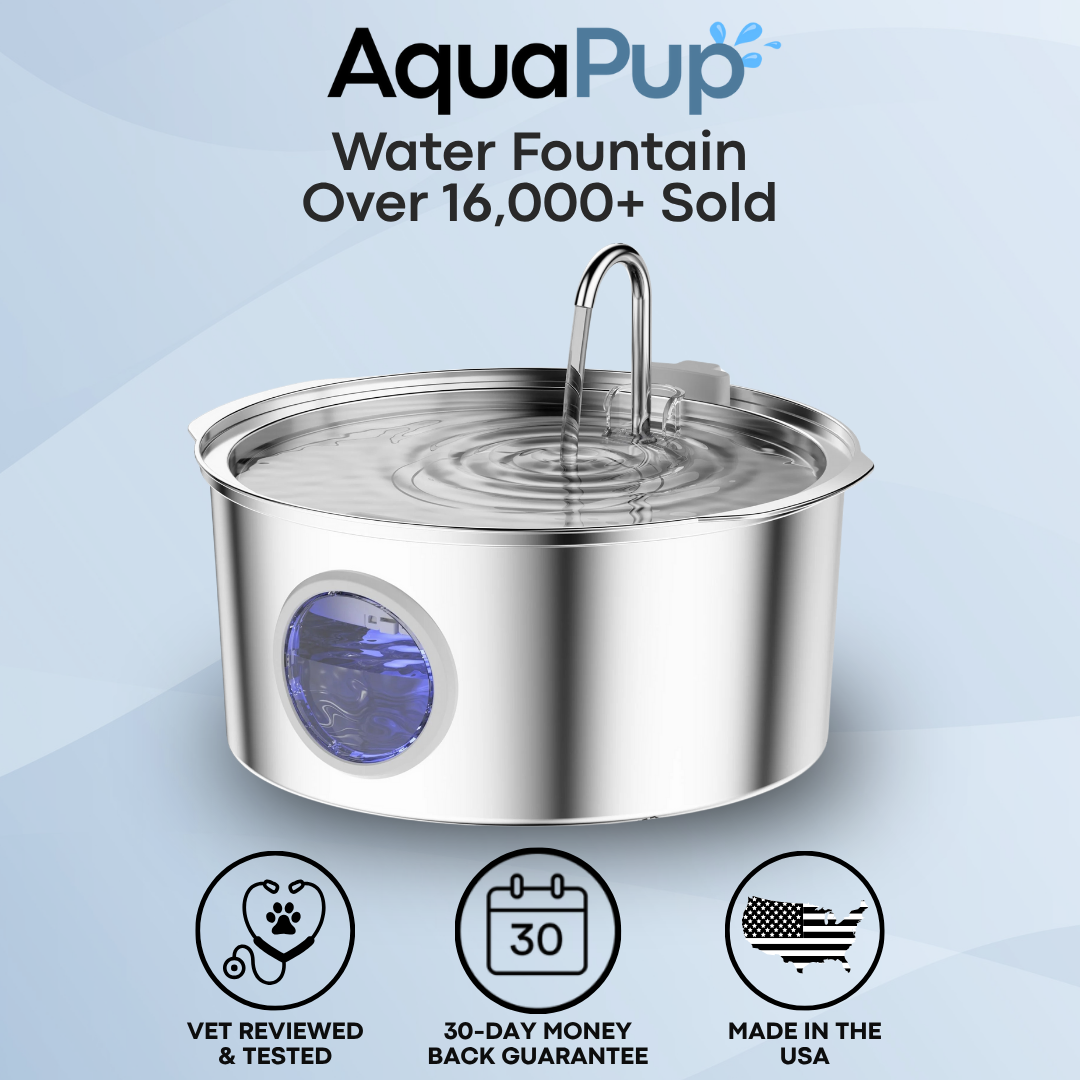 AquaPup Stainless Steel Water Fountain