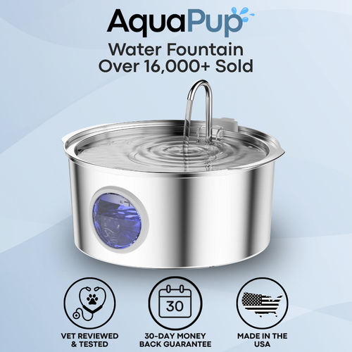 AquaPup Stainless Steel Water Fountain