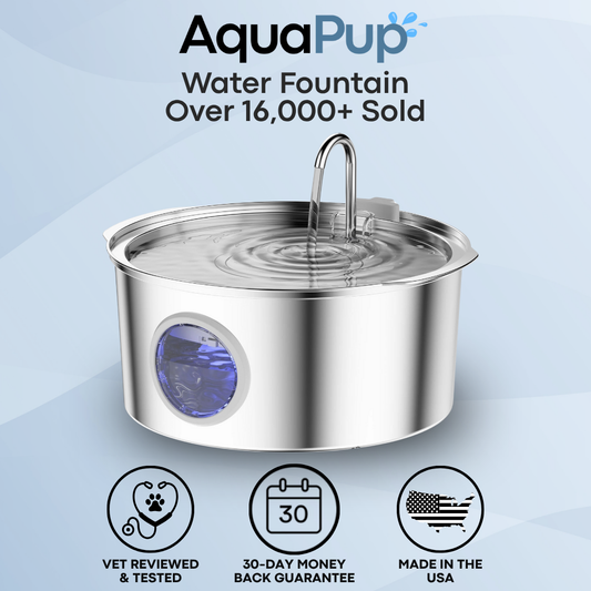 AquaPup Stainless Steel Water Fountain