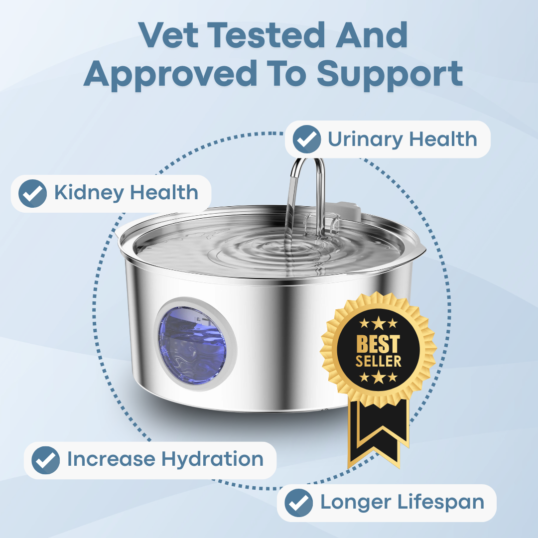 AquaPup Stainless Steel Water Fountain