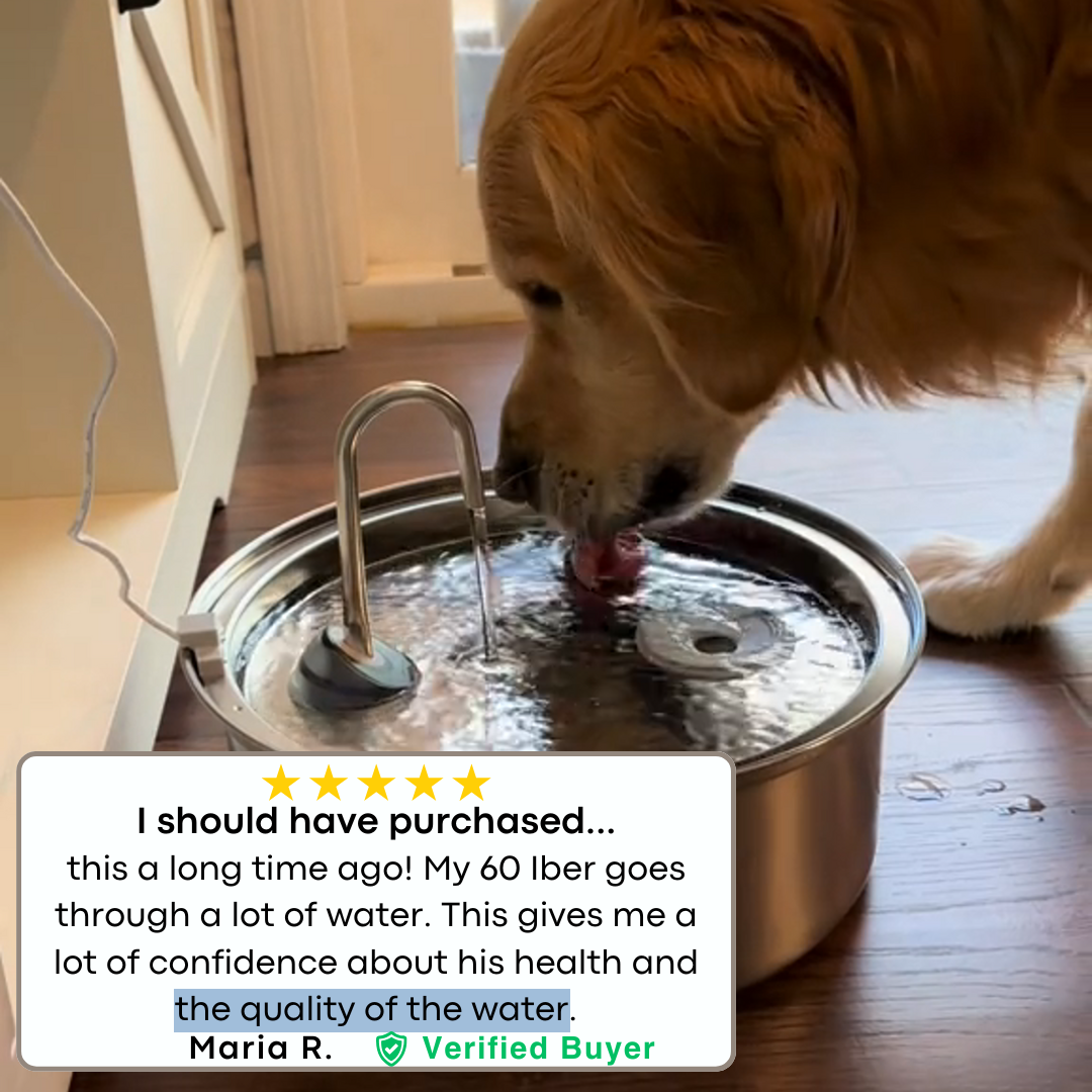 AquaPup Stainless Steel Water Fountain