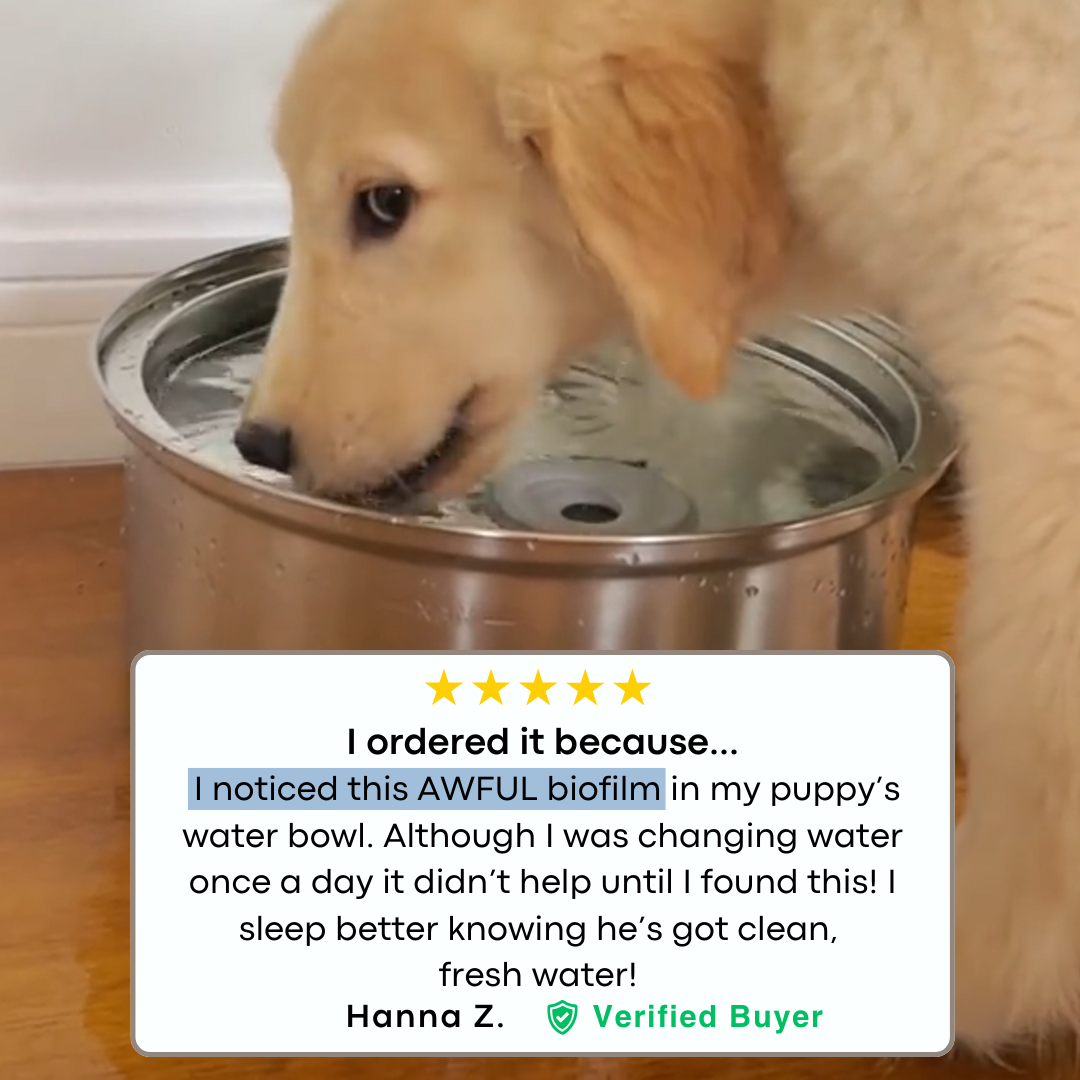 AquaPup Stainless Steel Water Fountain