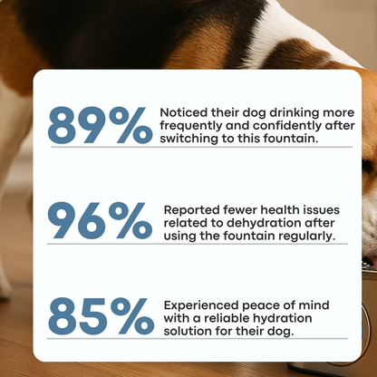 AquaPup Stainless Steel Water Fountain